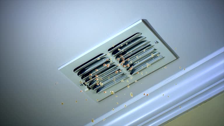 Best Air Duct Cleaning Near Me  in Elsmere, DE